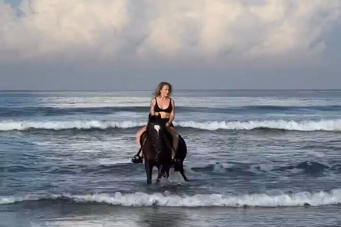 Bali Horse Riding in Seminyak Beach Private Experiance - Well-Trained Horses and Professional Guides