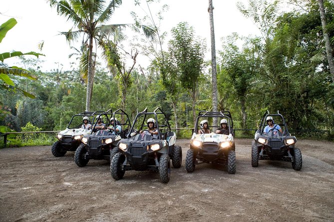 Bali Jungle ATV Half-Day Group Tour  - Kuta - Tour Requirements and Recommendations