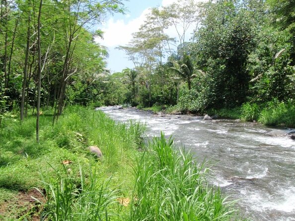 Bali Rafting Zipline at Telaga Waja River With Transfer and Lunch - Rafting Adventure Highlights
