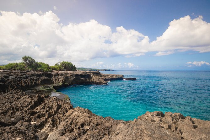 Bali Reef Cruise and Lembongan Island Day Trip - Tour Overview and Activities