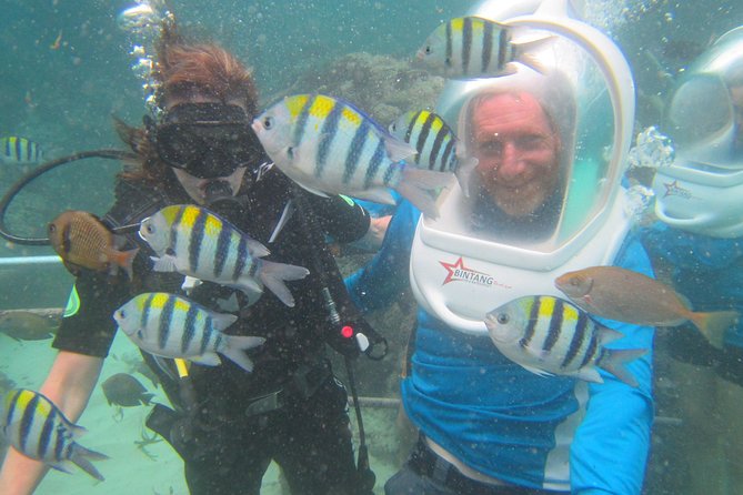 Bali Sea Walker Experience - Overview of the Experience