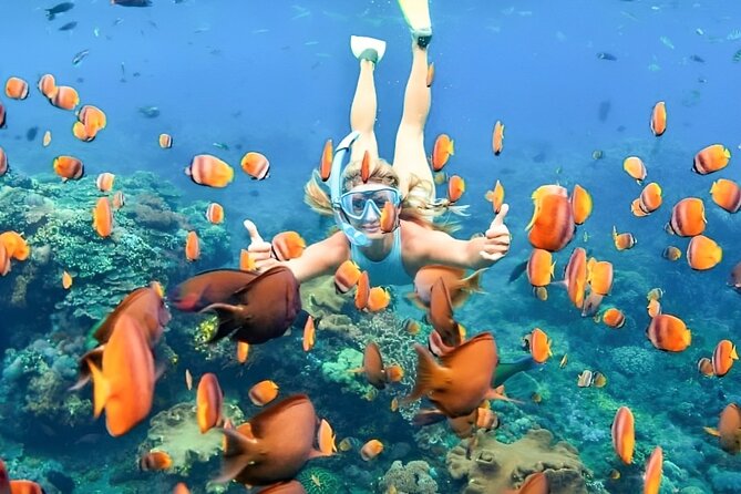Bali Snorkeling Tour at Blue Lagoon Beach: Private Transfer All-Inclusive - Snorkeling Tour Details