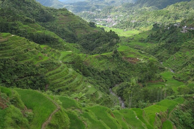 Banaue -Hapao Rice Terraces (Car Rental Only W/ A Tourist Driver) - Benefits of Car Rental With Tourist Driver