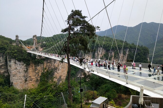 Baofeng Lake,Zhangjiajie Glass Bridge & Grand Canyon Day Tour - Itinerary Highlights