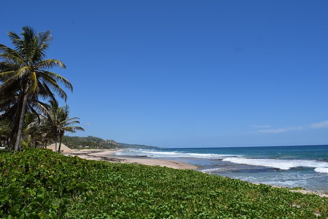Barbados Shore Excursion: Barbados Surf & Turf - Tour Details