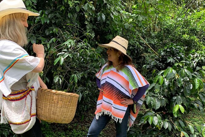 Be a Farmer for One Day (Coffee Farm Experience) - Cancellation Policy