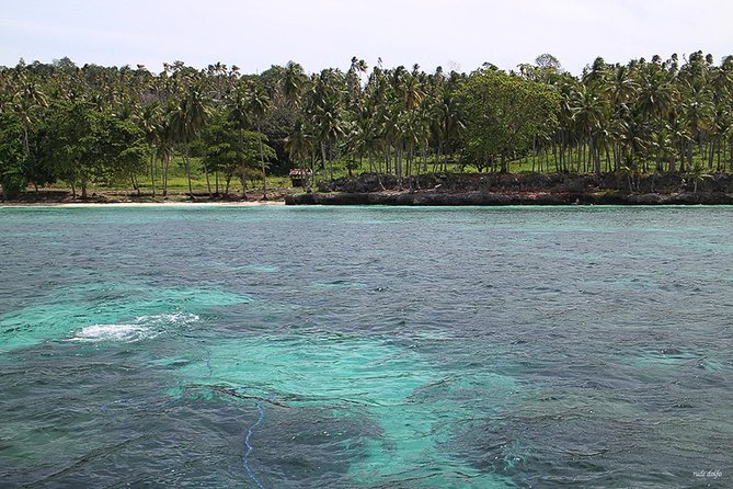 Beach Holiday in Samal Islands (8 Hours) - Activities and Beaches to Explore