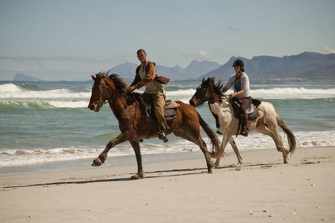 Beach Ride - Stanford - Public Transportation and Infant Policy