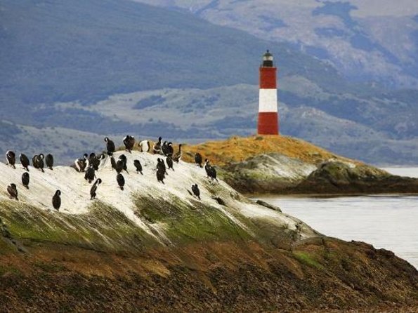 Beagle Channel Sailing Tour: Birds, Seals & Penguins Islands - Wildlife Encounters