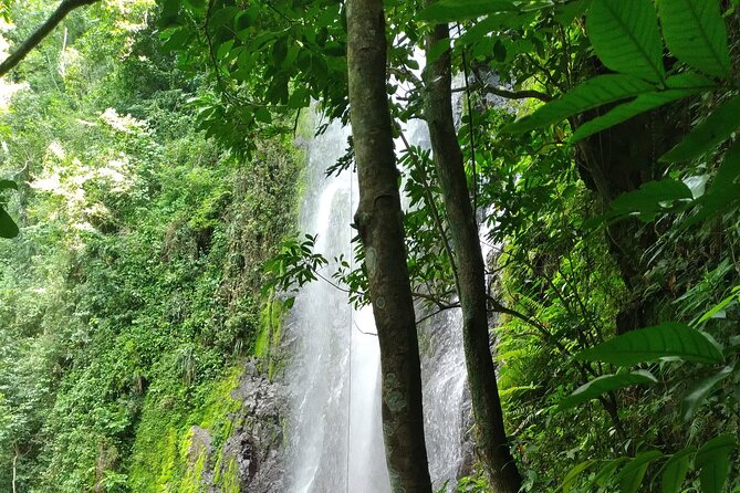 Beautiful Forest Hike to a Gorgeous Waterfall - Hiking Route Overview
