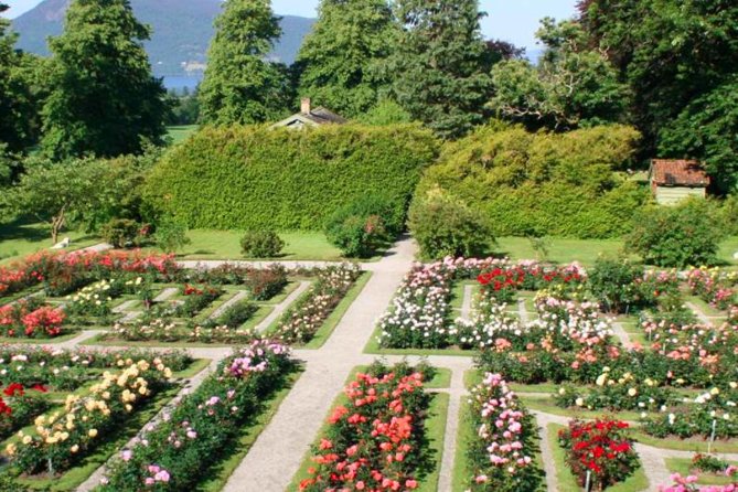 Bergen to Hardangerfjord Fjord Adventure - Itinerary and Highlights
