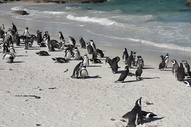 Best of Cape 3-Day Attraction Tour:Arme Helicopter &Cape Peninsula& Wine Tasting - Helicopter Experience