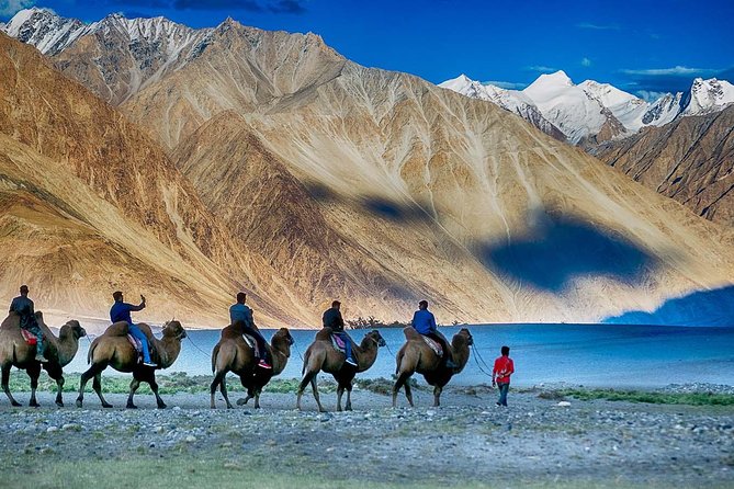 Best Of Ladakh - Thrilling Drive at Khardung-La Pass