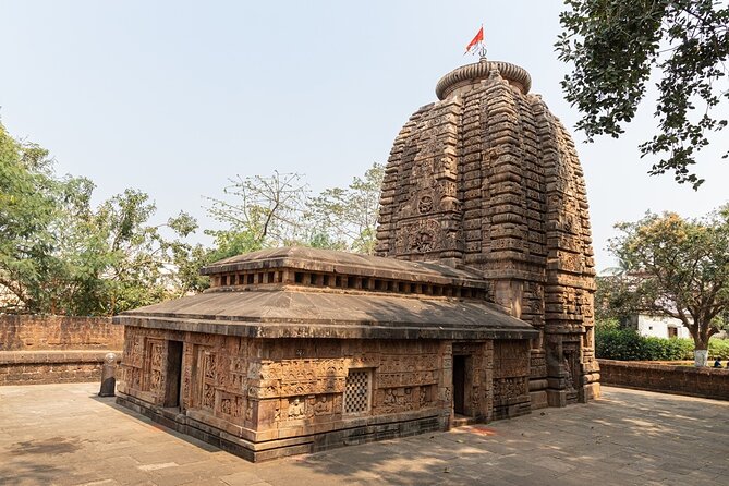 Bhubaneswar Heritage Walk With Professional Guide - Professional Guide Services