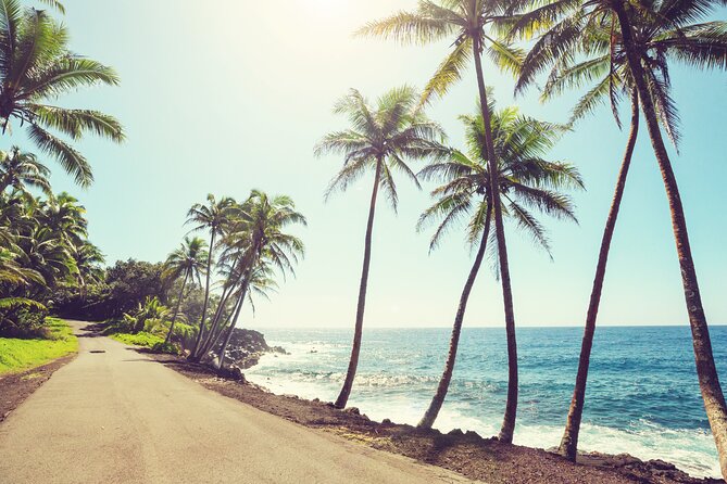 Big Island Professional Photography Session (Mar ) - Overview and Expectations