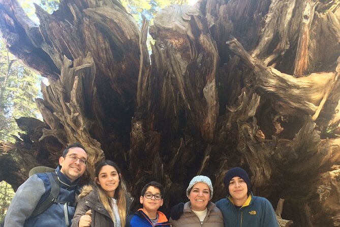 Big Trees Hike & Riverside Cookout Adventure - End Point and Pickup Details