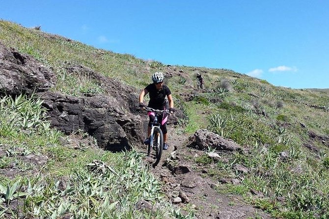 Bike Rental - Additional Info