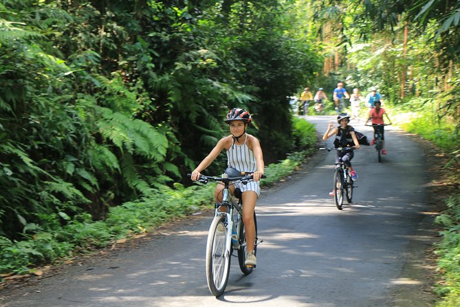 Bike Ride in the Rice Fields, Bali Countryside - Reviews and Ratings
