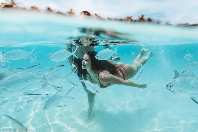 Bimini Bahamas Day Trip by Fast Ferry - Ferry Amenities and Onboard Facilities