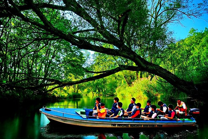 Bintan Mangrove Discovery Tour - Private Guide for Personalized Experience