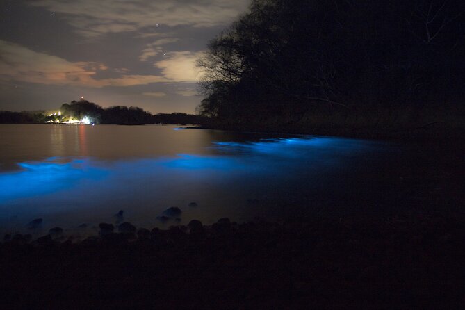 Bioluminescent Kayak Tour - Booking and Cancellation Policies