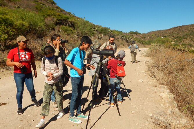 Bird Watching Tour in Aswan - Birdman of Aswan