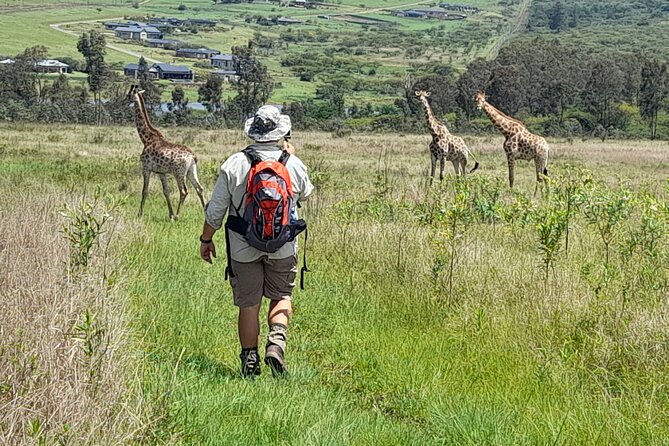 Bisley Valley Nature Reserve Hike With Giraffes and Zebras - Wildlife Encounters