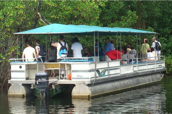 Black River Safari Tour From Montego Bay - Pricing Details