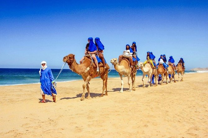 Blue Hole and Dahab Canyon By Bus With Lunch and Camel Ride - Sharm ElSheikh - Booking Information