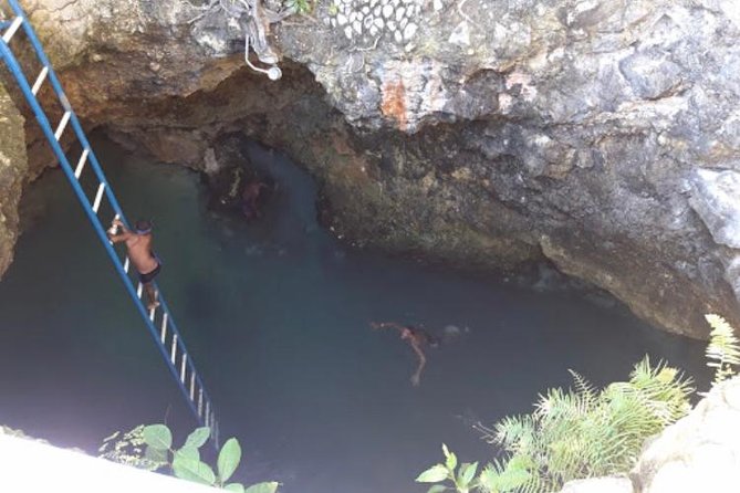 Blue Hole Mineral Spring and Herb Farm Private Tour - What to Expect