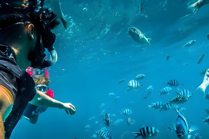 Blue Lagoon Snorkeling - Bali Best Snorkeling Site - Snorkeling Experience in Balis Blue Lagoon