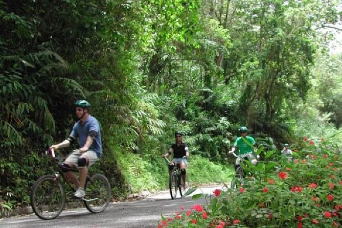 Blue Mountain Bicycle Tour From Runaway Bay - Departure Point