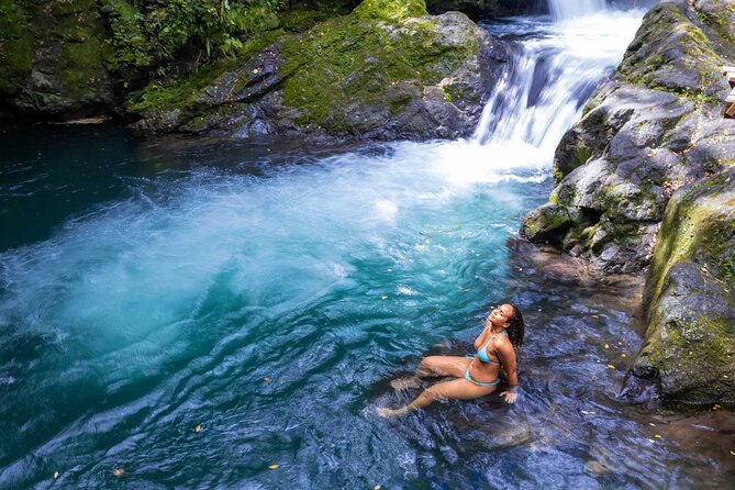 Blue Mountains Tour With Blue Mtn Coffee, Meals  - Ocho Rios - Tour Overview