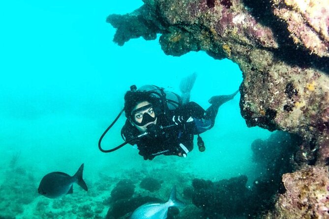 BOAT SCUBA Tour in World-Class Dive Sites - Dive Site Options