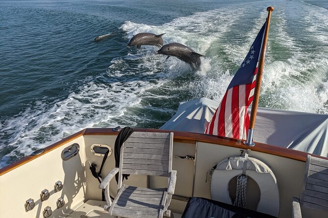 Boat Tours of Cape Ann: Whale or Seal Watching, Lighthouses and Harbor Cruises. - Whale Watching Excursions