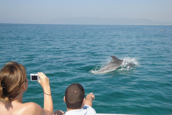 Boat Trip for Dolphin Watching Along the Arrabida Coast and Sesimbra - Whats Included