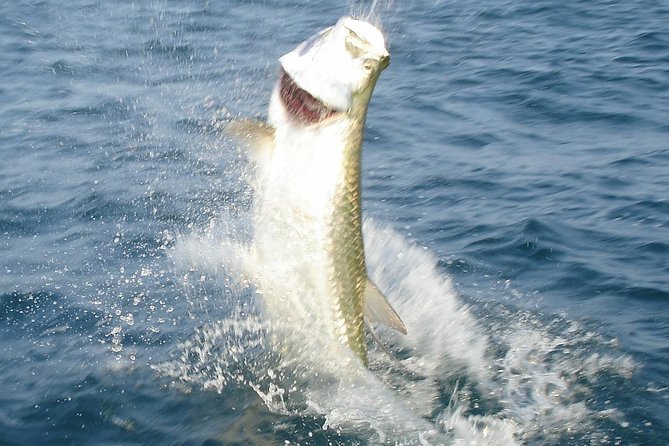 Boca Grande Inshore Fishing Charter - Location and Meeting Point
