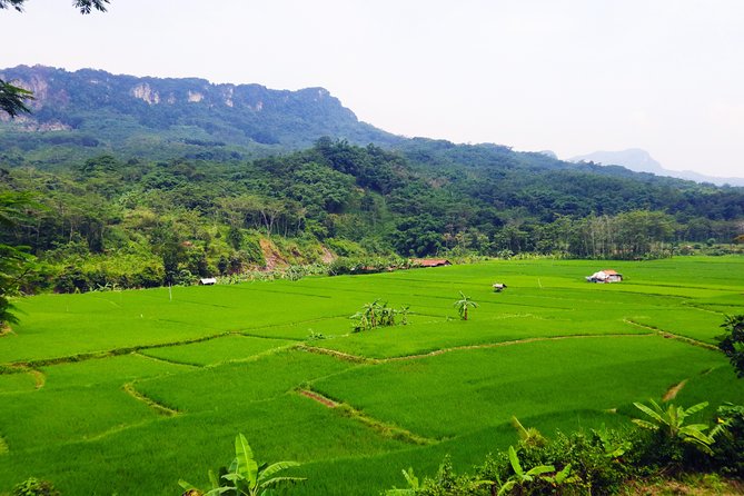 Bogor Private Day Trip With Gardens, Waterfalls, and More  - Jakarta - Places to Visit