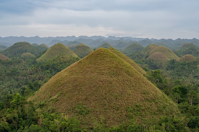 Bohol Chocolate Making and Farm Tour - Private Transportation