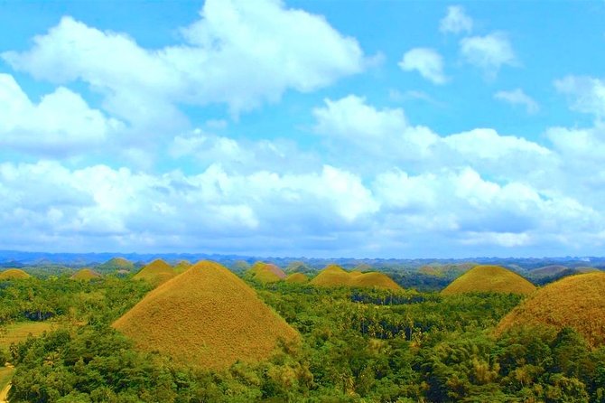 Bohol Countryside Day Tour From Cebu City or Mactan - Best Seller - Logistics and Pickup Information