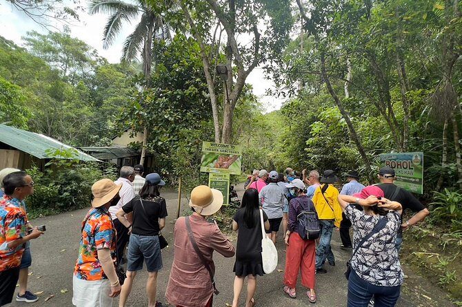 Bohol Day Tour With Round-Trip Transfers From Cebu - Itinerary Details