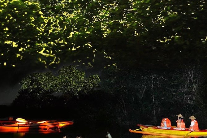 Bohol Firefly Or Fullmoon Tour Stand Up Paddle Tour - Tour Highlights