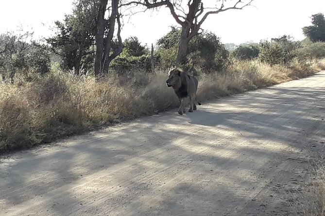 Budget 3 Days 2 Nights Kruger Safari 3 Star Lodge From Johannesburg - Accommodation and Facilities