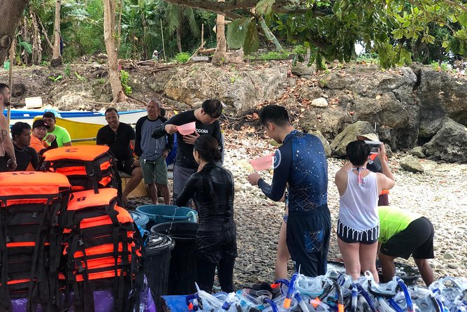 Budgeted Bohol Whale Shark - Booking Details