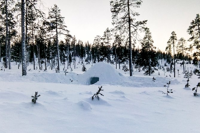 Building a Snow Igloo From Kemi - Pickup Details and Meeting Point