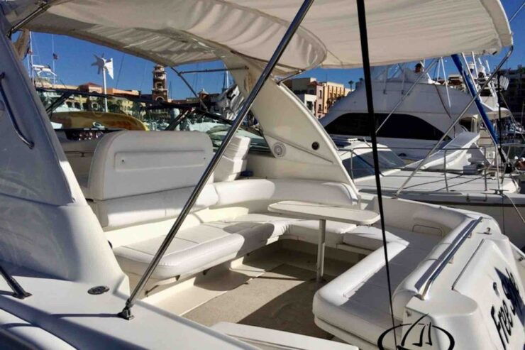 Cabo San Lucas: Private Boat Tour on the 42′ Sea Ray 400 DA - Experience Highlights