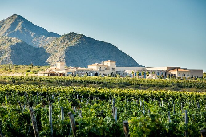 Cafayate Wine Route Day Tour From Salta - Itinerary Overview