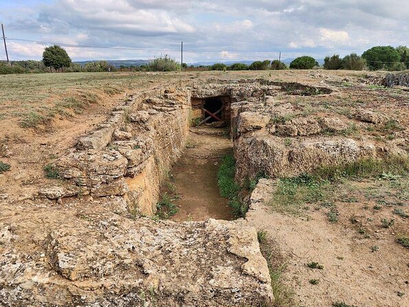 Cagliari: Alghero Full Day Private Tour Experience - Tour Highlights