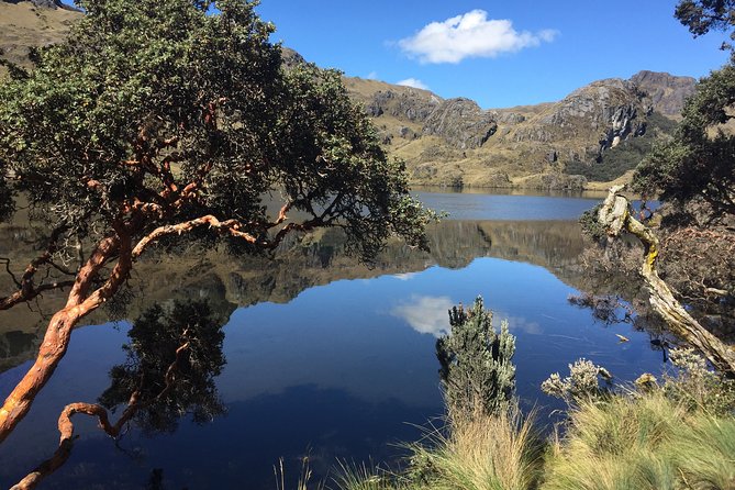 Cajas Unveiled: a Half-Day Escape From Cuenca - Pricing and Booking Information