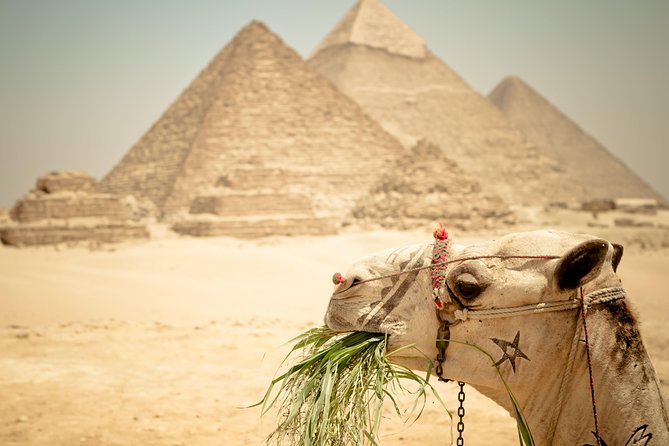 Camel Ride Around the Pyramids During Sunrise or Sunset - Benefits of a Sunrise Camel Ride